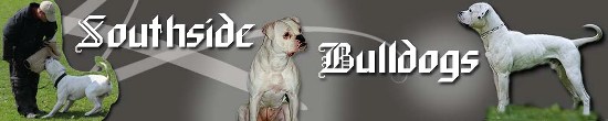 http://www.southside-bulldogs.keepfree.de/ssb_banner_signaturboard.jpg