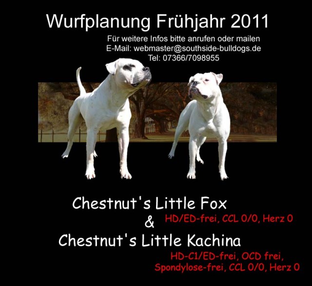Bild